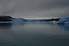 calafate_220.JPG