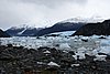 calafate_249.JPG