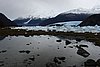 calafate_252.JPG