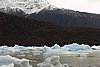 calafate_260.JPG