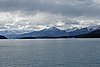 calafate_279.JPG