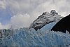 calafate_299.JPG