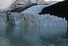 calafate_301.JPG