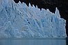 calafate_308.JPG