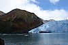 calafate_310.JPG