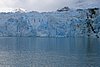 calafate_312.JPG