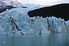 calafate_315.JPG