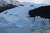 calafate_317.JPG