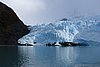 calafate_320.JPG