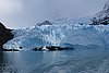 calafate_321.JPG