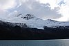 calafate_325.JPG