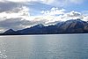 calafate_329.JPG