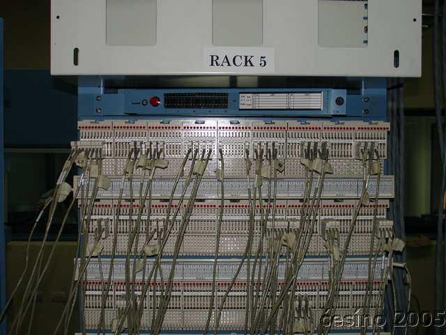 DSC01761.JPG