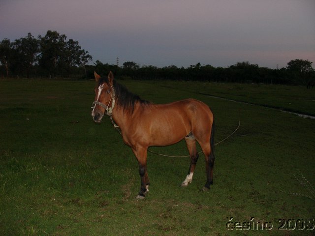 DSC01836.JPG