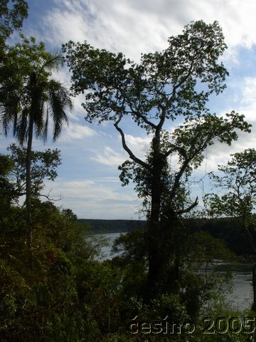 iguazu_022.JPG