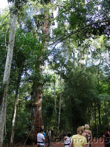 iguazu_025.JPG