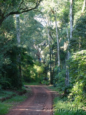 iguazu_035.JPG