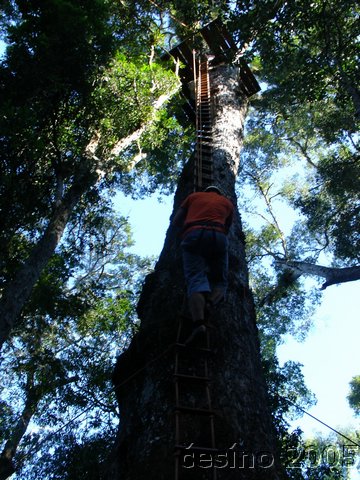 iguazu_037.JPG