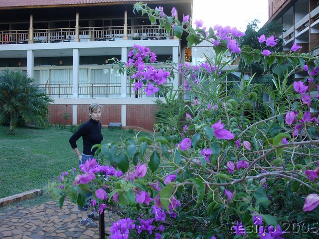 iguazu_057.JPG