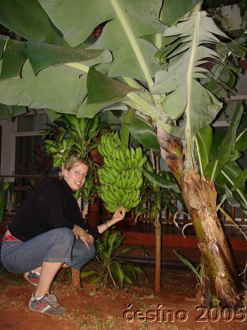 iguazu_065.JPG