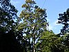 iguazu_034.JPG