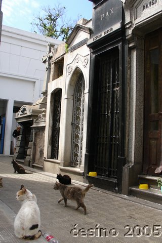 DSC05689.JPG