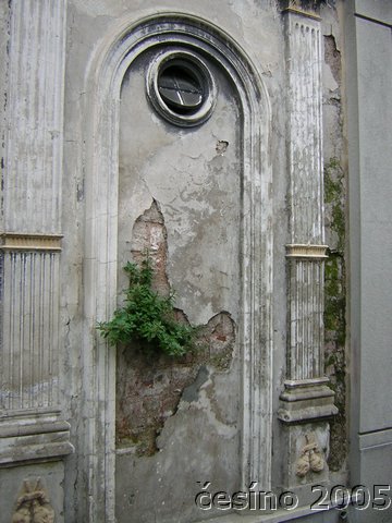 DSCN1611.JPG