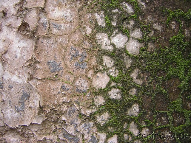 DSCN1612.JPG