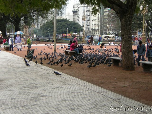 DSCN1627.JPG