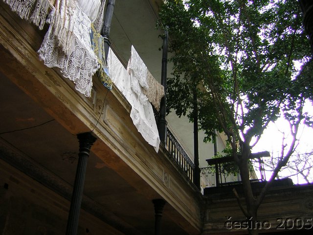 DSCN1665.JPG