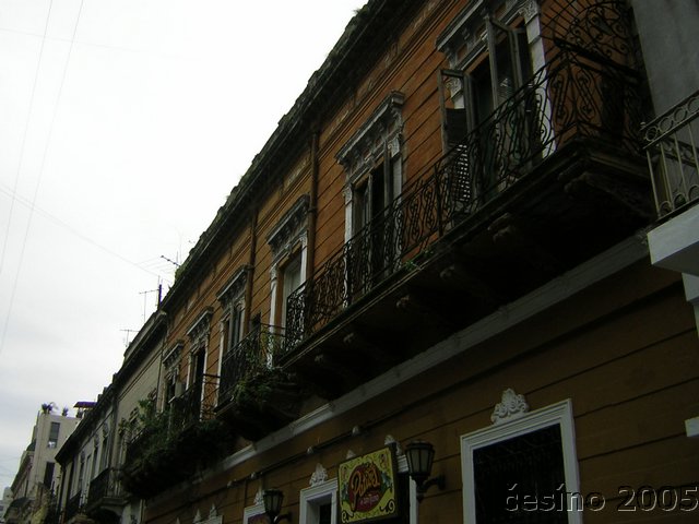 DSCN1704.JPG