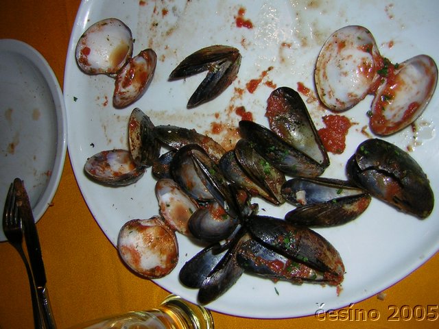 DSCN1729.JPG