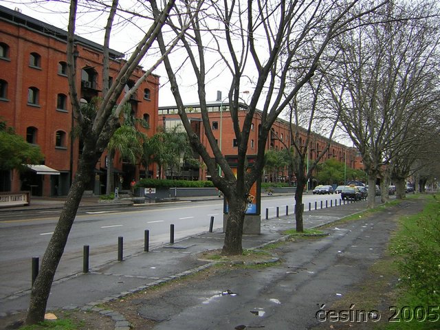 DSCN1768.JPG