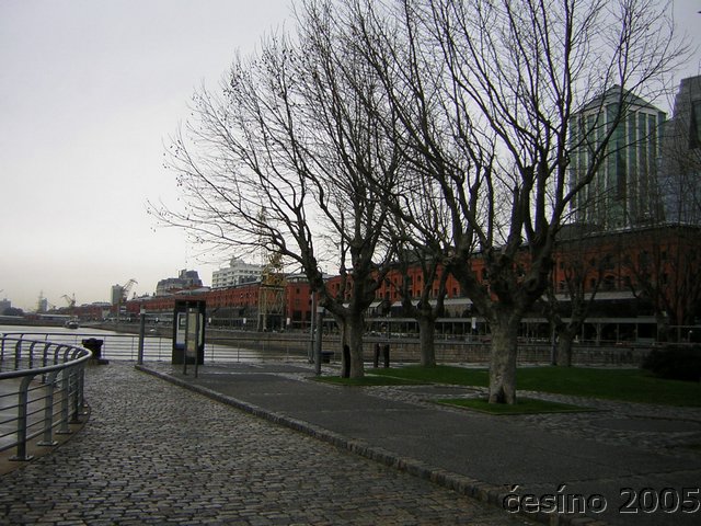 DSCN1775.JPG