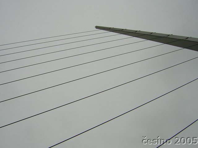 DSCN1786.JPG