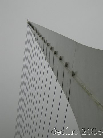 DSCN1789.JPG