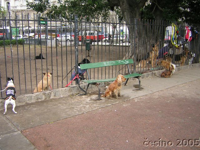 DSCN1815.JPG