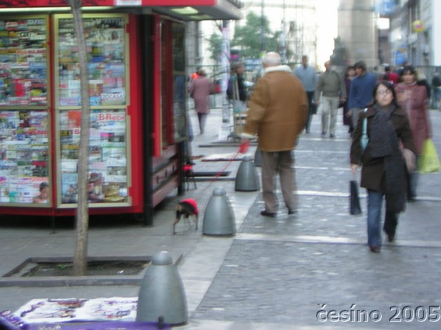 DSCN1825.JPG