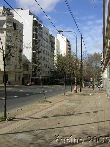 DSCN1833.JPG