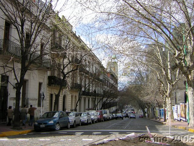 DSCN1865.JPG