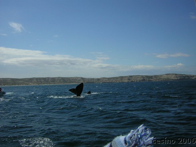 DSCN4309.JPG