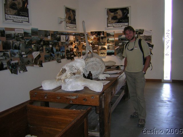 DSCN4337.JPG