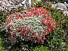 DSCN4280.JPG