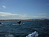 DSCN4309.JPG
