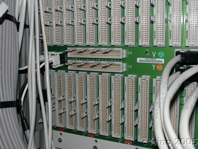 DSC01523.JPG