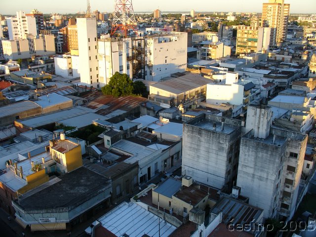 DSC01528.JPG