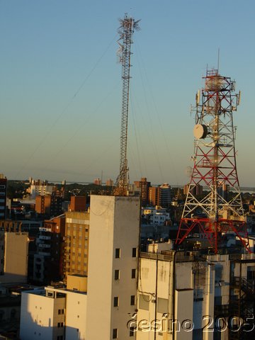 DSC01530.JPG