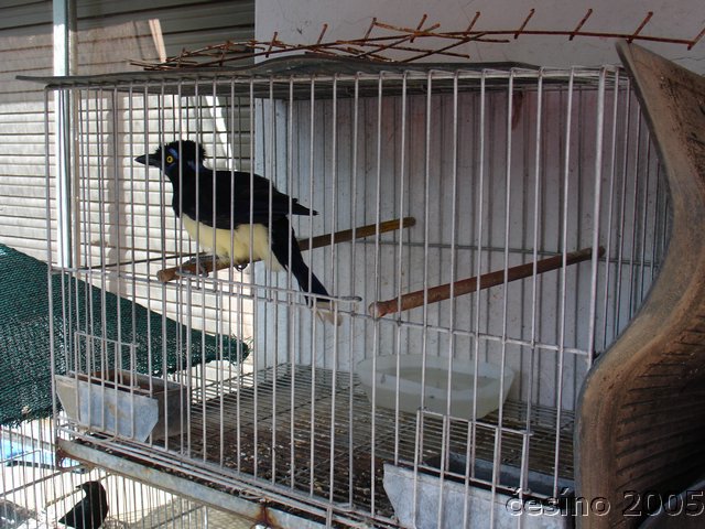 DSC01542.JPG
