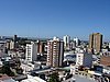 DSC01505.JPG