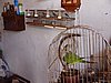 DSC01540.JPG